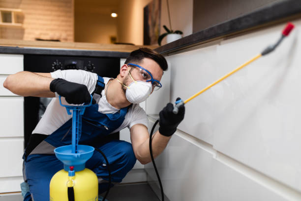 Best Pest Control Near Me in Delevan, NY