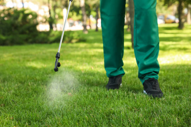 Best Termite Control Services  in Delevan, NY