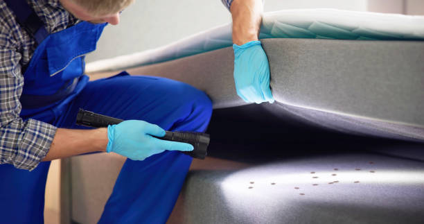 Best Emergency Pest Control  in Delevan, NY