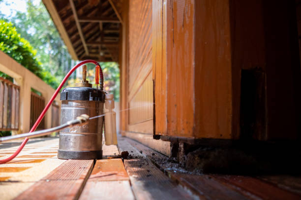 Best Wasp Removal Services  in Delevan, NY