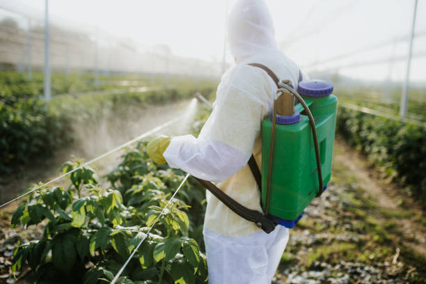 Wildlife Control Services in Delevan, NY